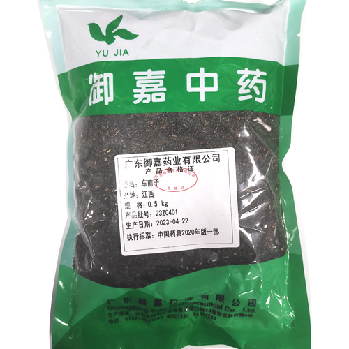 车前子
