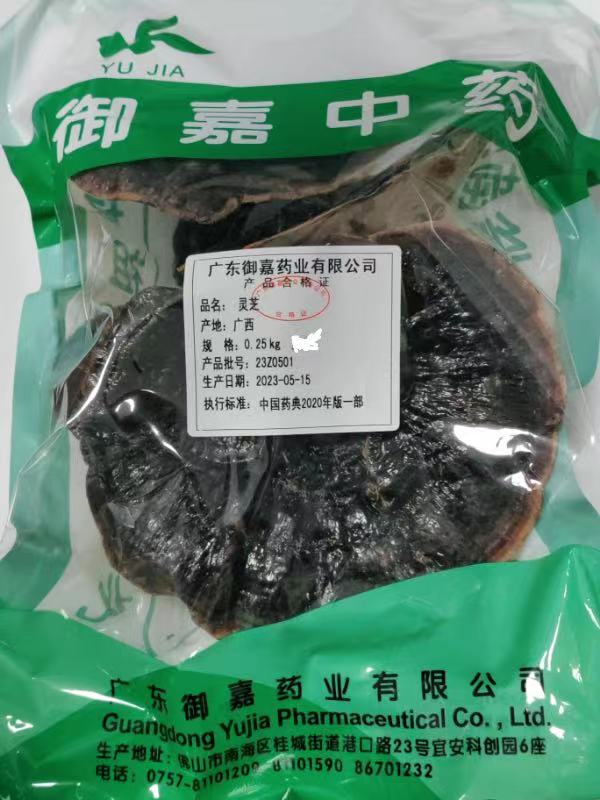 灵芝